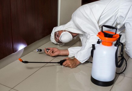Dezenfeksiyon, bursa, ilaçlama, dezenfeksiyon, haşere kontrol, haşere önleme, haşere ilaçlama, böcek, fare, sinek, ilaçlama, ev, işyeri, ofis, lokanta, restaurant, cafe, dezenfeksiyon